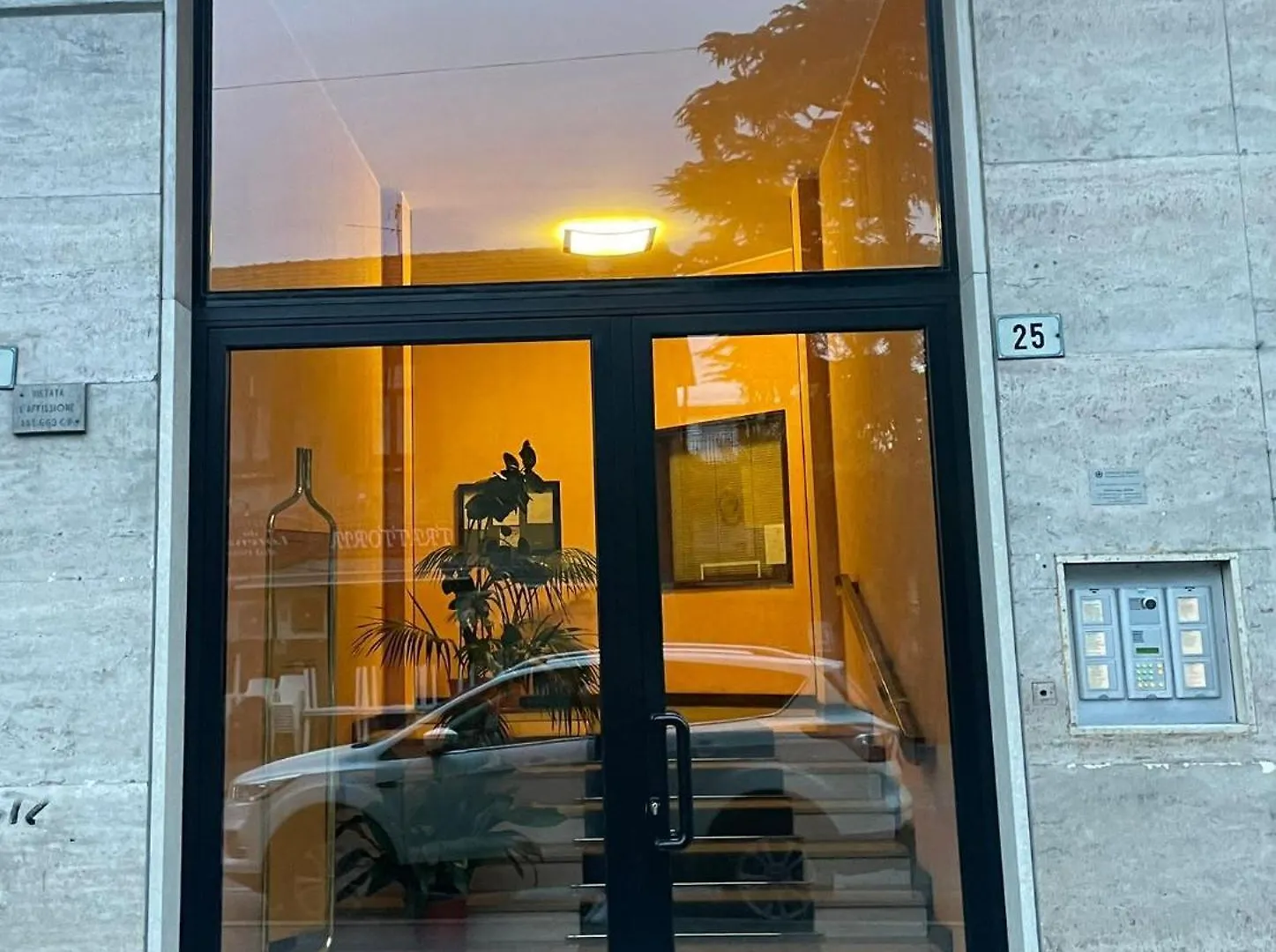 Mycosmostudio Pero
